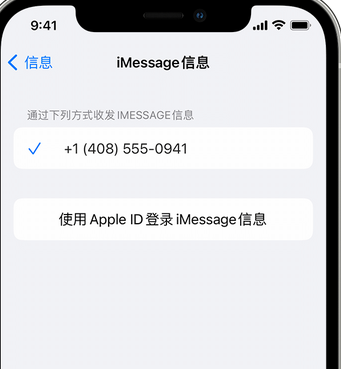 海安apple维修iPhone上无法正常发送iMessage信息 