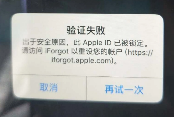 海安iPhone维修分享iPhone上正常登录或使用AppleID怎么办 