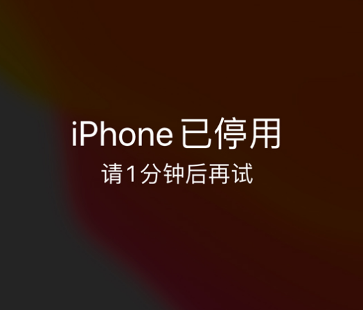 海安苹果手机维修分享:iPhone 显示“不可用”或“已停用”怎么办？还能保留数据吗？ 