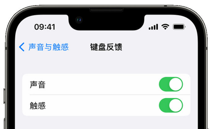 海安苹果手机维修分享iPhone 14触感键盘使用方法 