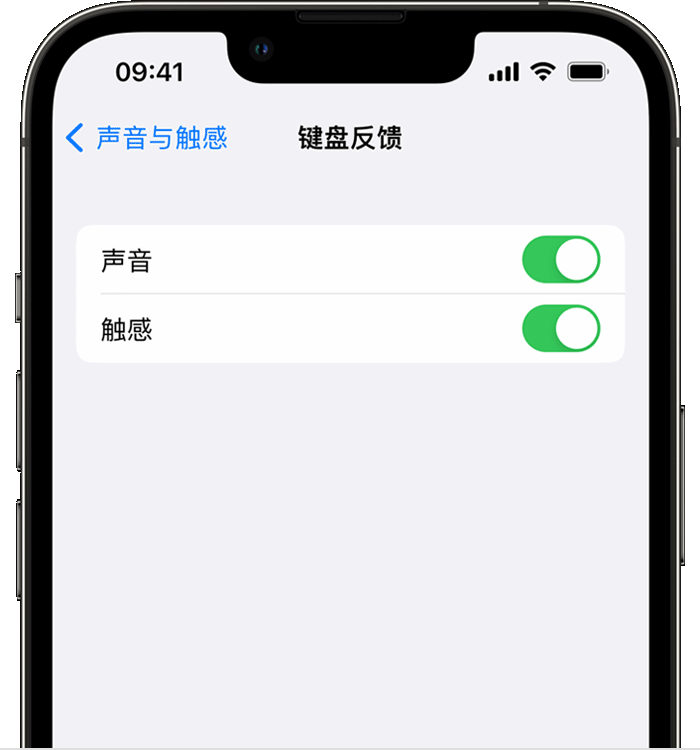 海安苹果14维修店分享如何在 iPhone 14 机型中使用触感键盘 