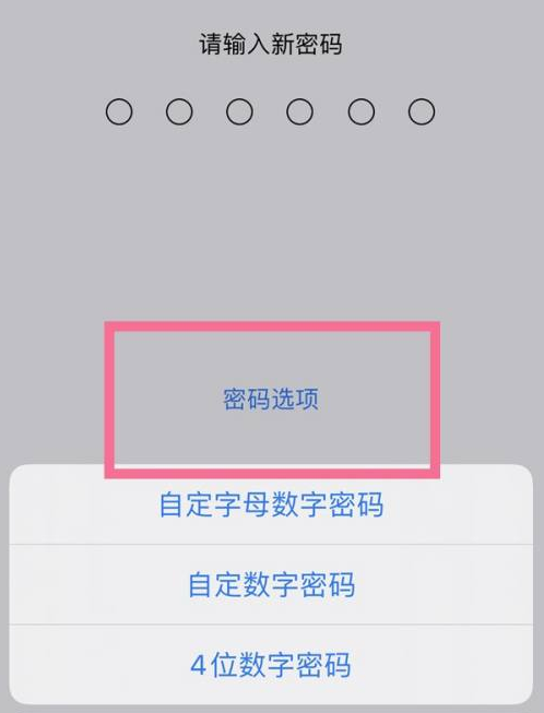 海安苹果14维修分享iPhone 14plus设置密码的方法 