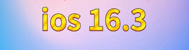 海安苹果服务网点分享苹果iOS16.3升级反馈汇总 