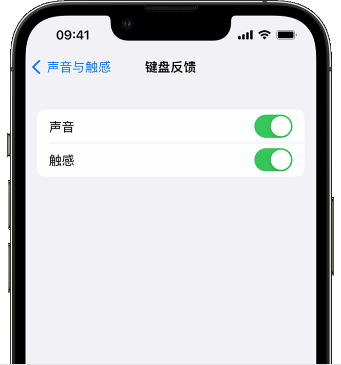 海安苹果14维修分享iPhone 14 系列机型如何开启键盘声音或触感反馈 