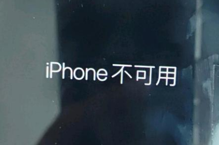 海安苹果服务网点分享锁屏界面显示“iPhone 不可用”如何解决 