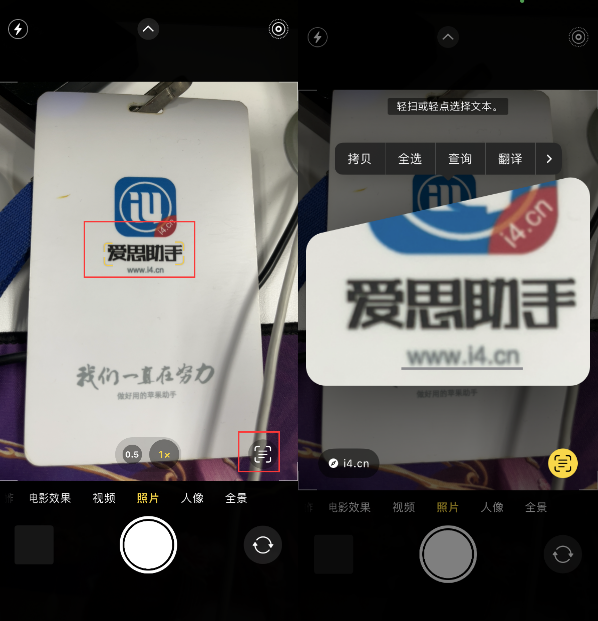 海安苹果手机维修分享升级iOS 16后如何通过相机翻译文本 
