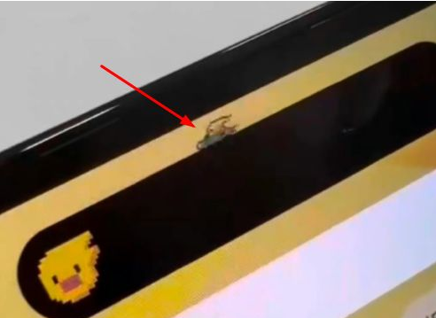 海安苹果14维修分享iPhone 14 Pro Max灵动岛怎么养宠物 