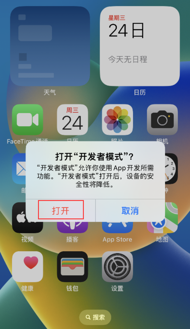 海安苹果手机维修分享如何打开开发者模式 