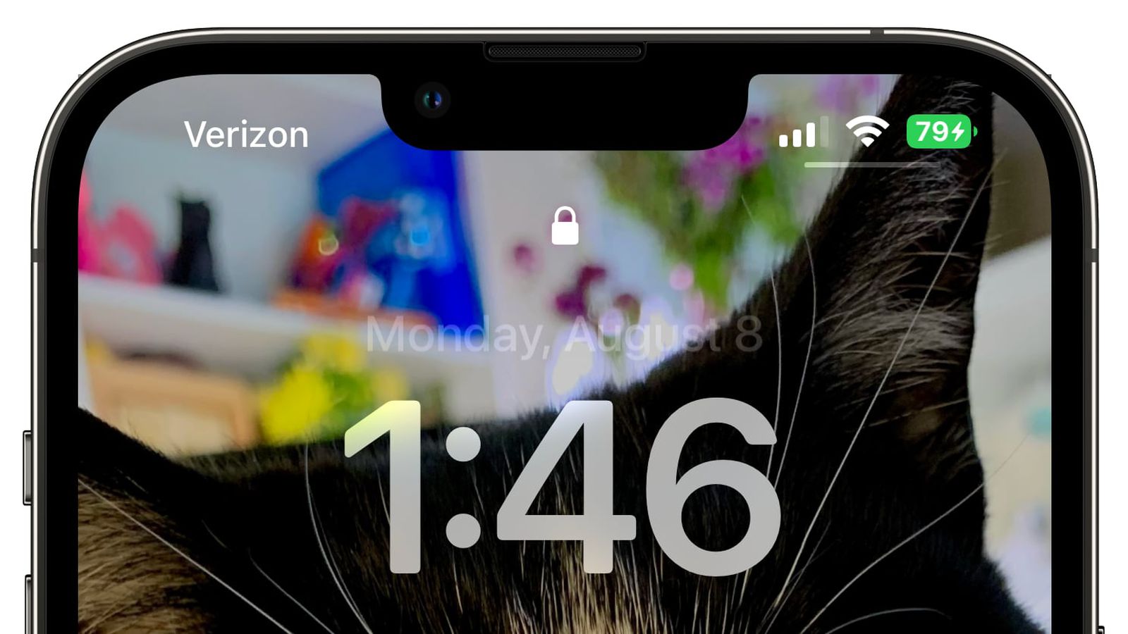 海安苹果手机维修分享iOS 16 beta 5 支持状态栏显示电池百分比，如何开启？支持哪些机型 