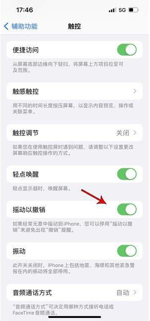 海安苹果手机维修分享iPhone手机如何设置摇一摇删除文字 