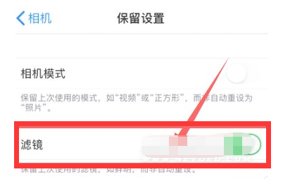海安苹果13维修分享iPhone13拍照有绿点是怎么回事 
