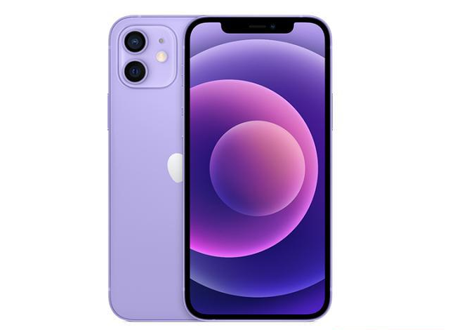 海安苹果手机维修分享现阶段要不要入手紫色版iPhone12 