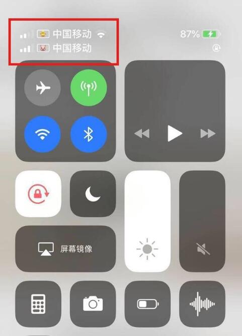 海安苹果手机维修分享为 iPhone 12 双卡设置标签 
