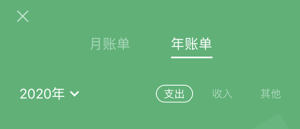 海安苹果手机维修分享如何在 iPhone 上查看支付宝和微信年支出账单 