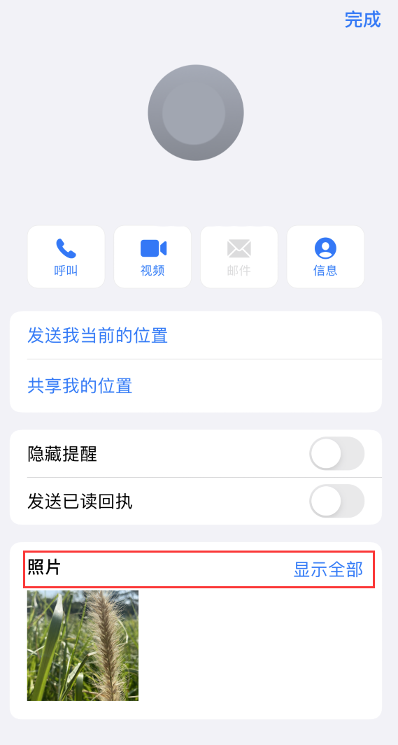 海安苹果手机维修分享如何快速查找 iMessage 信息中的图片等附件 