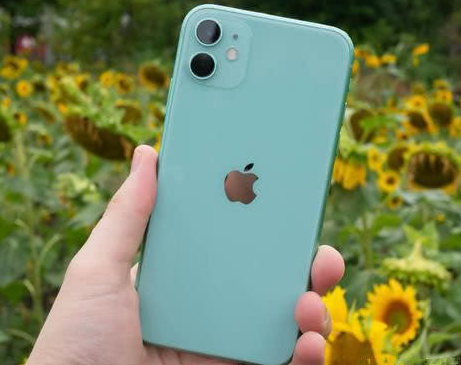 海安苹果维修点分享iPhone 11锁屏密码认知与使用科普 