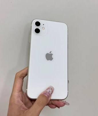 海安苹果维修点分享iPhone 11黑屏特殊场景解析 